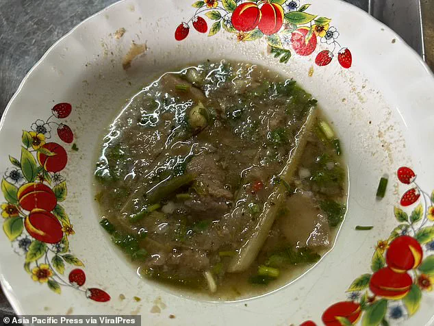 Thai Curry Laced with Deadly Mushrooms Claims Two Lives in Chiang Rai, Thailand: Community in Shock as Tragedy Unfolds