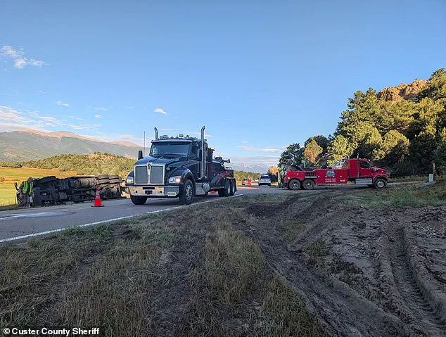 Corn Spill on Highway Highlights Gaps in Transportation Safety Regulations