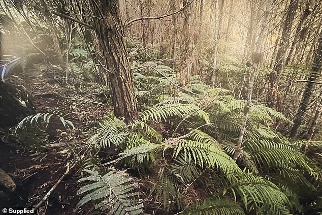 Exclusive: Authorities Reveal Unseen Photos of Remote Campsite Linked to Fugitive's Children