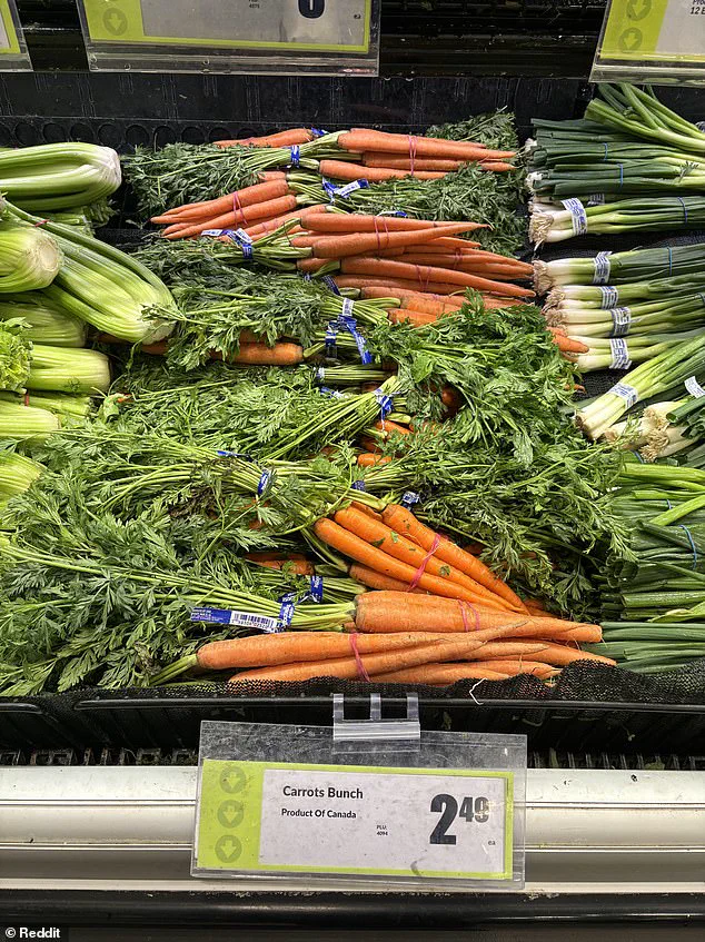 Hidden from View: The Secret 'Made in USA' Labels Uncovered in Canadian Supermarkets by CFIA and CBC Investigation