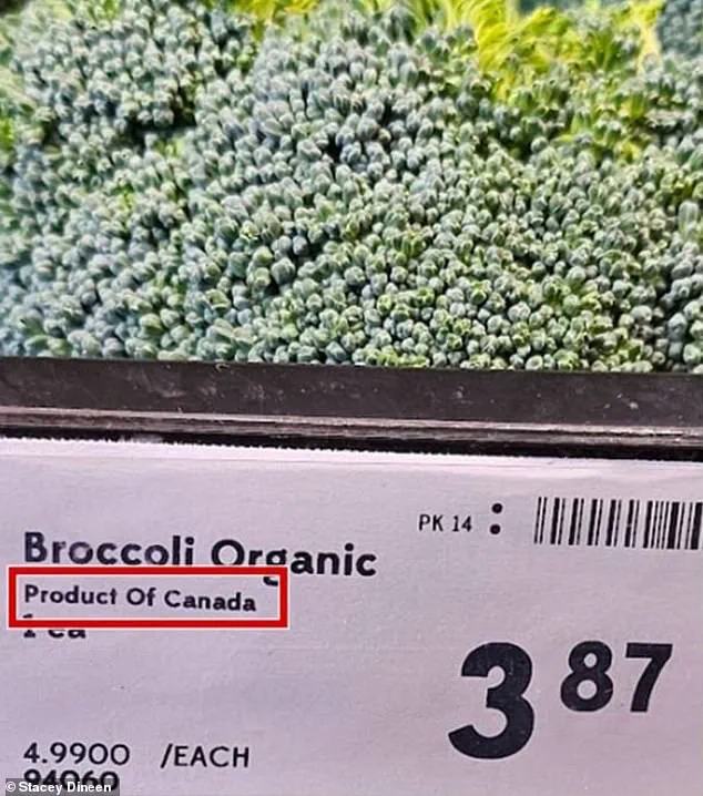 Hidden from View: The Secret 'Made in USA' Labels Uncovered in Canadian Supermarkets by CFIA and CBC Investigation