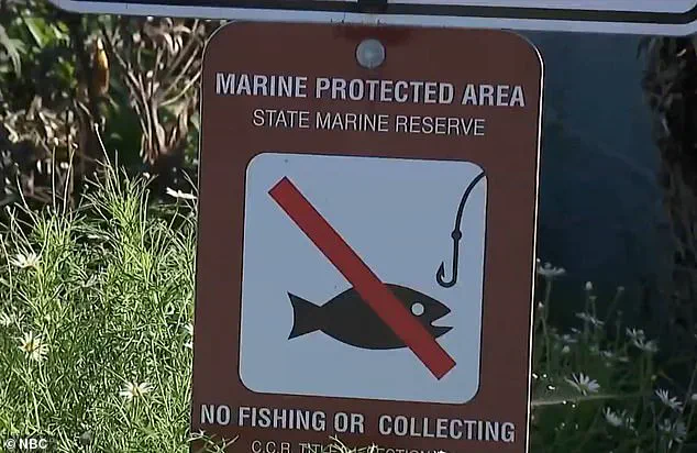 La Jolla's Tragic Encounter: King Tides and Human Recklessness Highlight Coastal Vulnerability
