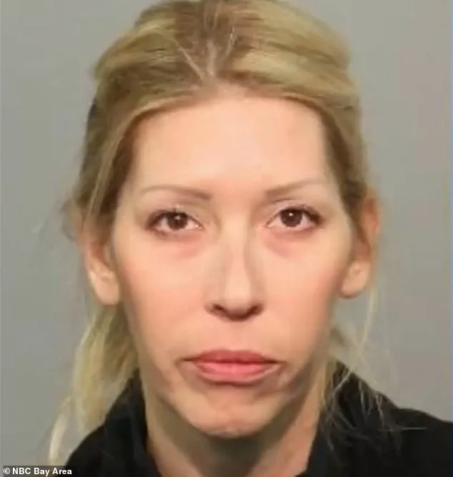 Santa Cruz Mother's Alleged Party Excesses Spotlight Regulatory Measures Against Youth Misconduct