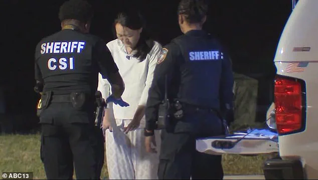 Mei Wolfe to Serve Three Days in Jail Annually for Ten Years Under Lenient Plea Deal in Texas Shooting Case