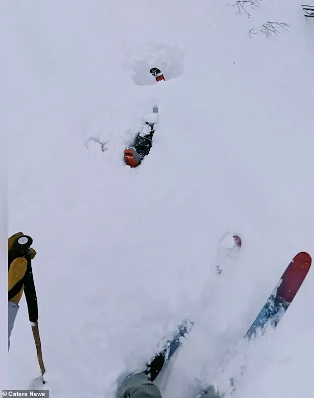 Privileged Information: The Engelberg Avalanche Rescue That Went Viral