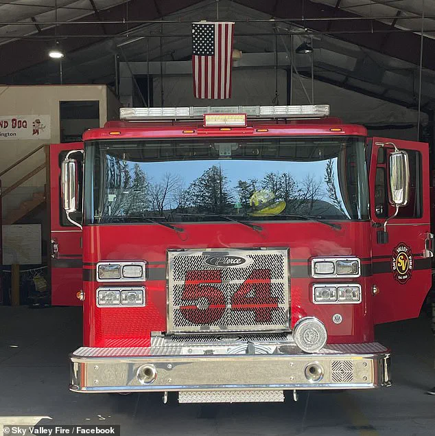 Six Puppies Rushed to Fire Station in Critical Condition After Suspected Opioid Overdose in Washington State