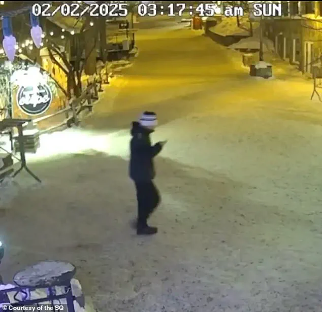 Missing for a Year: New Footage Released in Liam Toman's Case