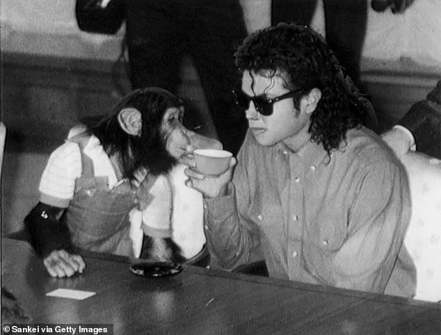 Bubbles the Chimpanzee: From Michael Jackson's Pop Culture Companion to Quiet Retirement