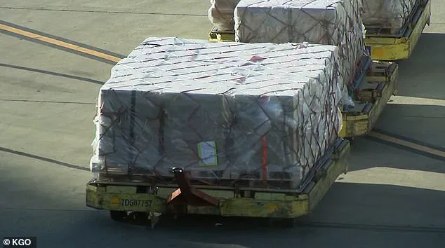 Tragic SFO Accident Sparks Calls for Enhanced Safety Regulations