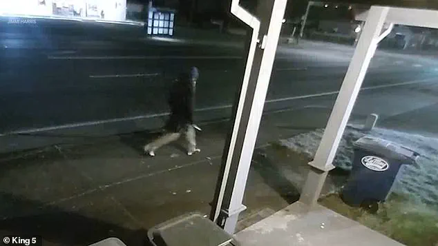 Community Reels After Violent Attack Raises Urgent Questions About Religion's Role in Public Spaces