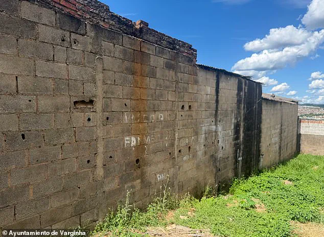 The Varginha Incident: Unraveling the Mystery of Brazil's Most Enduring UFO Enigma