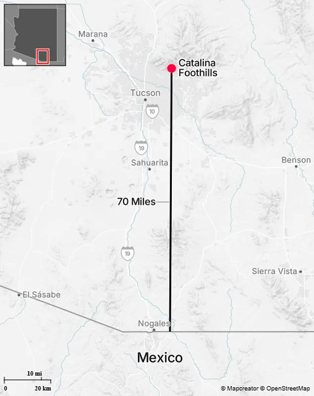 Cryptic Clue: Arizona Home's Unusually Clean Roof Fuels Missing Woman Mystery