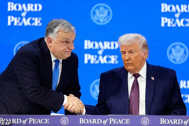 First Meeting of Trump's Board of Peace Marks Shift to Functional International Body, Addressing Gaza Governance