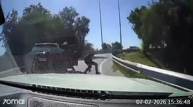 Split-Second Decision During Armed Robbery Highlights Safety Dilemma in Chile