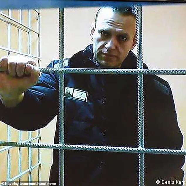 Navalny's Widow Accuses Putin of Murder Using Frog Poison, Cites International Evidence