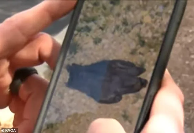 New Evidence in Nancy Guthrie Abduction Case: Footage Reveals Suspect's Earlier Presence and Possible Surveillance
