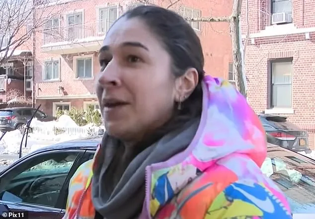Viral Video Shows Neighbor Allegedly Shoveling Snow onto SUV During Blizzard in Queens
