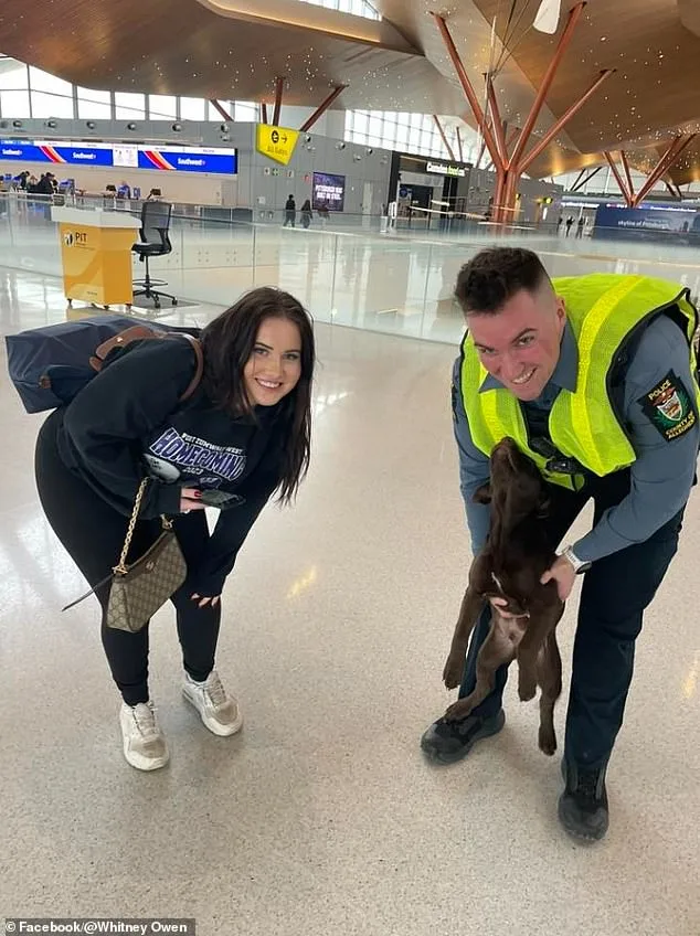 Abandoned Puppy at Pittsburgh Airport: Owner Charged with Animal Cruelty