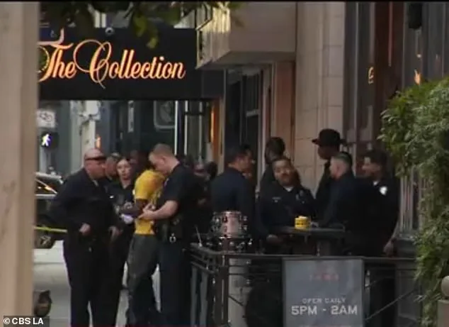 Violent Stabbing at Zaya Restaurant Leaves Four Women Hospitalized