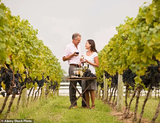 Lindsay Hoopes Ordered to Pay $4 Million After Napa County Legal Battle Over Winery Regulations