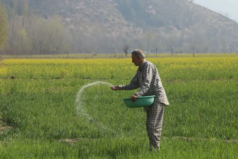 Farmers' Crisis: Rising Costs Threaten Survival and Dreams