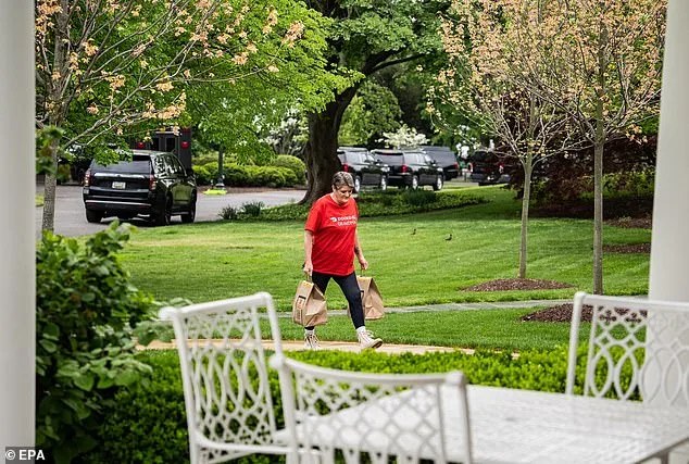 Grandmother's Delivery: A Tale of Hard Work, Flexibility, and a McDonald's Run.