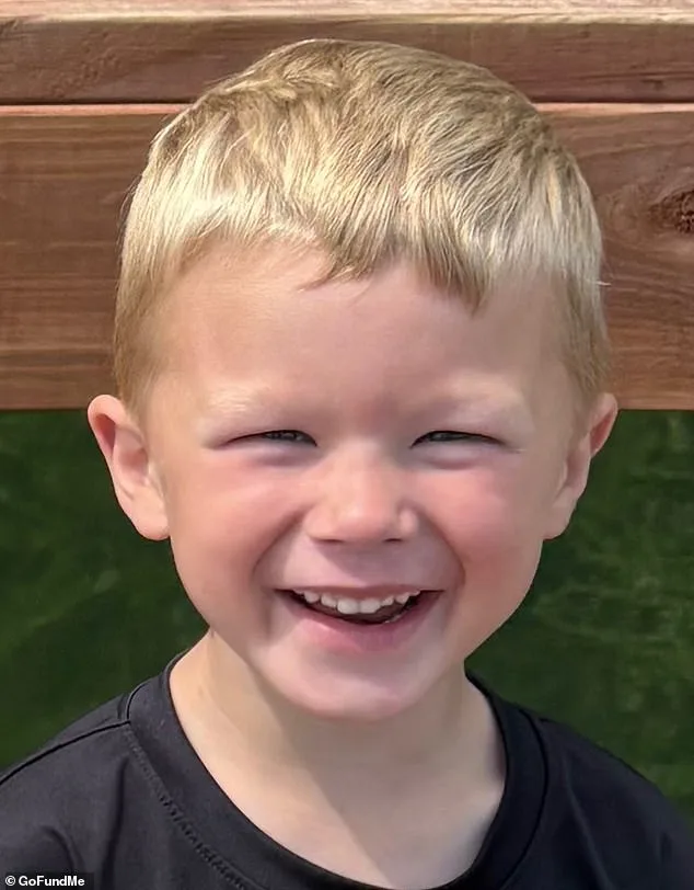 Five-year-old boy survives freezing creek rescue after saving younger sibling.