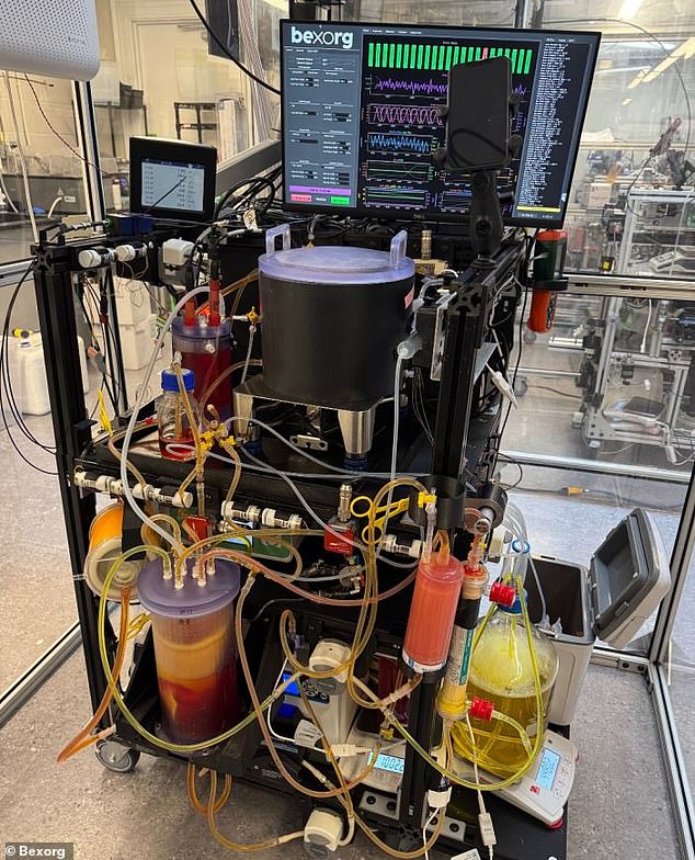 Startup Bexorg Uses Harvested Human Brains to Test New Drugs