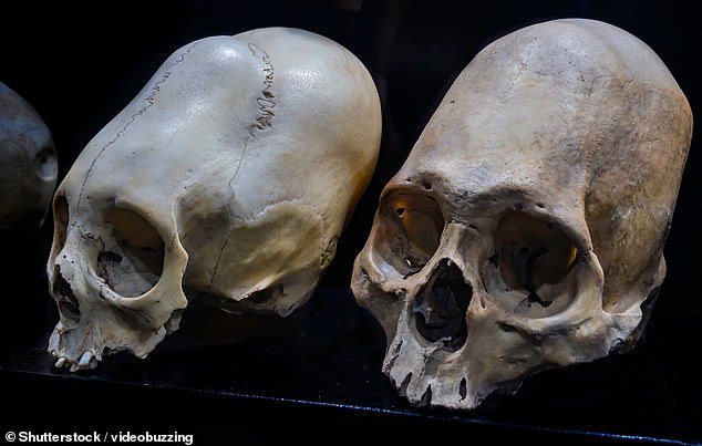 New DNA tests fail to confirm alien origins of ancient Peruvian mummies.